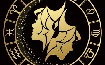 Картинка разное знаки+зодиака близнецы