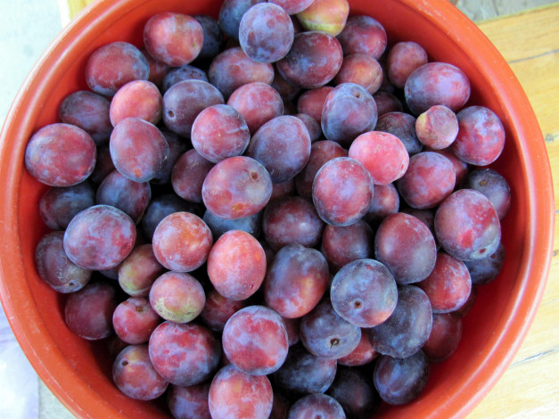 Обои картинки фото еда, персики,  сливы,  абрикосы, сливы