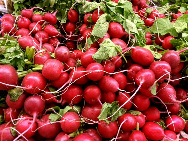 Обои картинки фото еда, редис,  репа,  редька