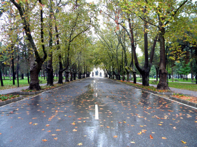 Обои картинки фото природа, дороги, шоссе