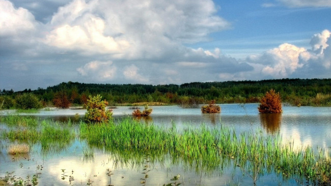 Обои картинки фото природа, реки, озера, река, облака, камыш