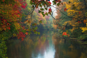 Картинка природа реки озера озеро