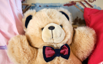 Картинка разное игрушки плюшевый медвежонок бант