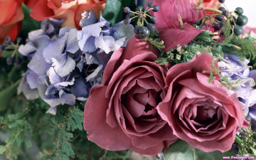 Картинка цветы разные вместе