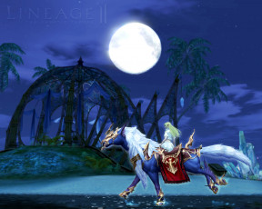 Картинка видео игры lineage ii