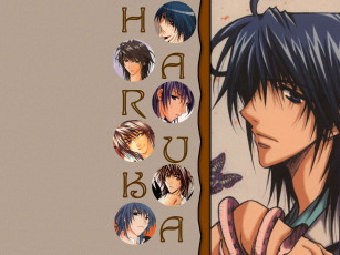 Картинка аниме tactics