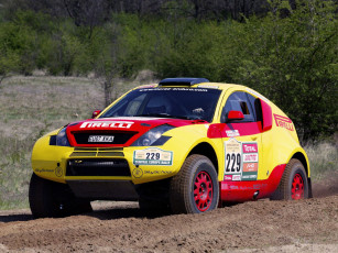 Картинка спорт авторалли