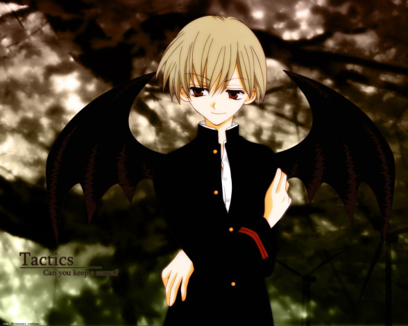 Обои картинки фото аниме, tactics