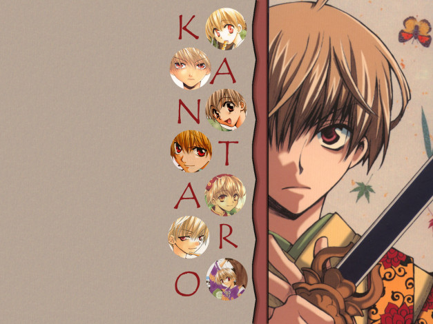 Обои картинки фото аниме, tactics