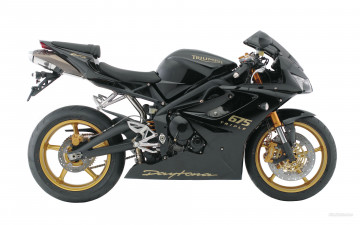 Картинка daytona мотоциклы triumph
