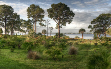 Картинка природа пейзажи