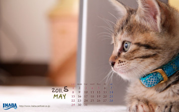 Картинка бренды inaba