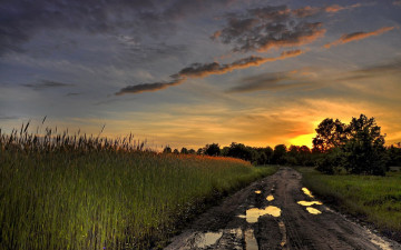 Картинка природа дороги