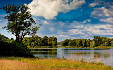 Картинка природа реки озера