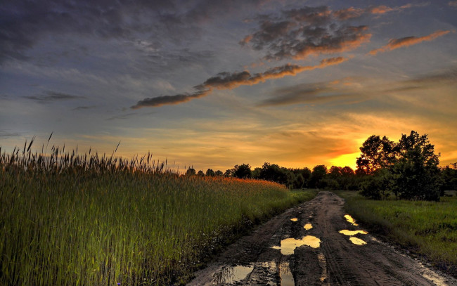 Обои картинки фото природа, дороги