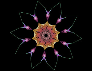 Картинка 3д графика fractal фракталы рисунок фон узор