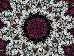 Картинка 3д графика fractal фракталы фон рисунок узор