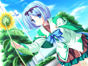 обоя аниме, magus, tale, подсолнух, девушка, школьная, форма