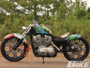 Картинка мотоциклы customs side