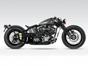 Картинка мотоциклы customs side