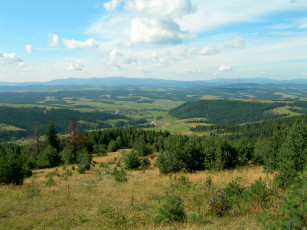 Картинка природа пейзажи украина карпаты львовской области