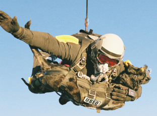 Картинка оружие армия спецназ army military