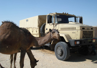 Картинка техника военная