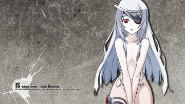 Картинка аниме infinite stratos девушка