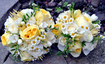 Картинка цветы букеты композиции ромашки фрезия розы