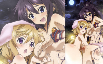 Картинка аниме infinite stratos девушки