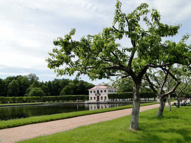 Обои картинки фото города, санкт, петербург, петергоф, россия, парк, двоца, марли