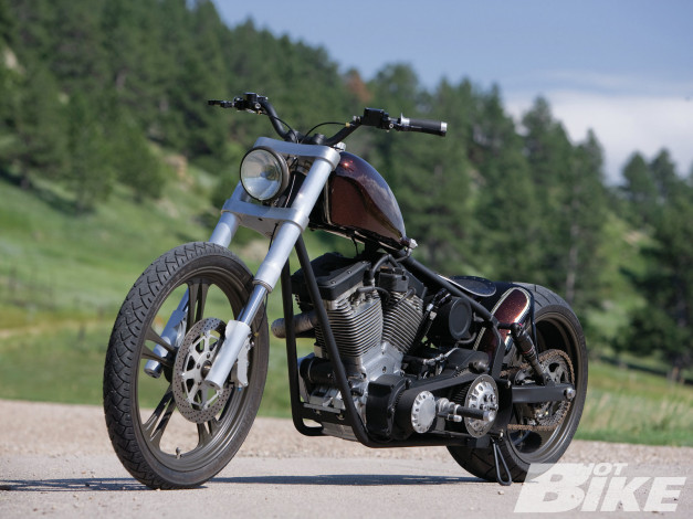 Обои картинки фото мотоциклы, customs, side