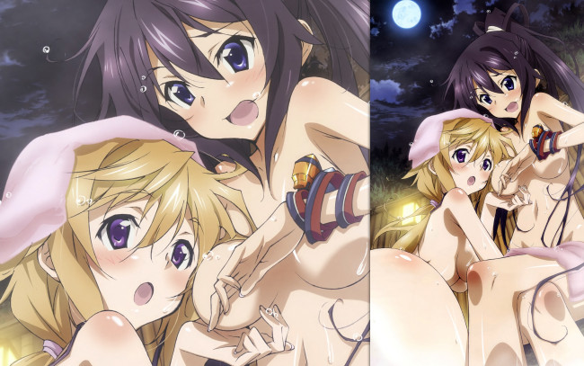 Обои картинки фото аниме, infinite, stratos, девушки