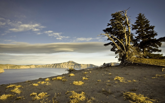 Обои картинки фото природа, деревья, горы, пейзаж