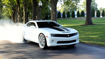 Картинка chevrolet camaro автомобили сша gm division