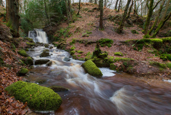 Картинка природа водопады река лес водопад
