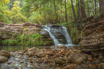 Картинка природа водопады водопад река лес