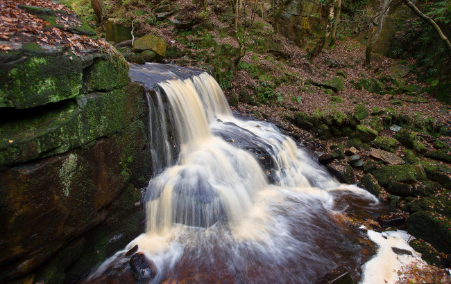 Обои картинки фото природа, водопады, водопад, лес, река