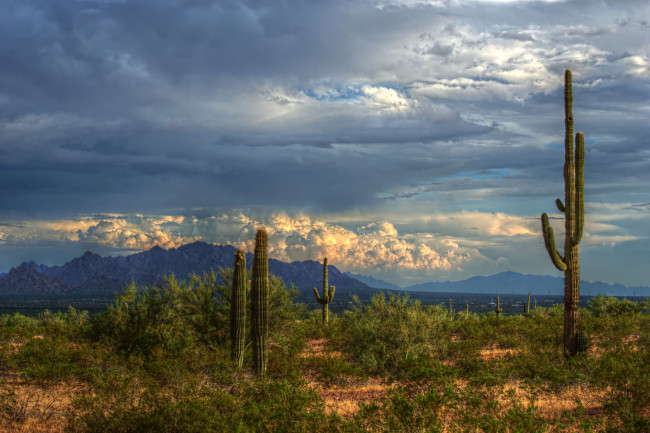 Обои картинки фото природа, горы, скалы