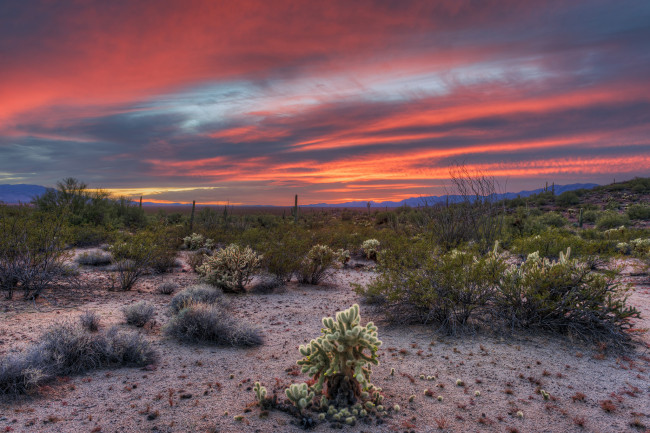 Обои картинки фото природа, пустыни, простор