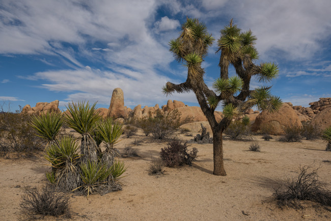 Обои картинки фото природа, пустыни, простор