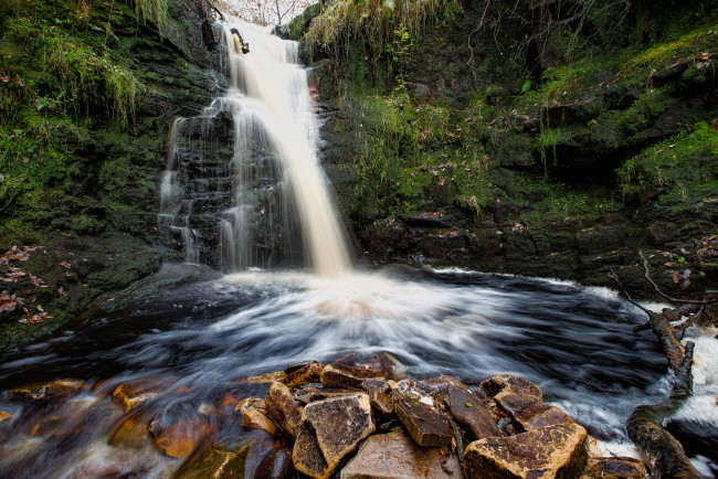 Обои картинки фото природа, водопады, водопад, река, лес