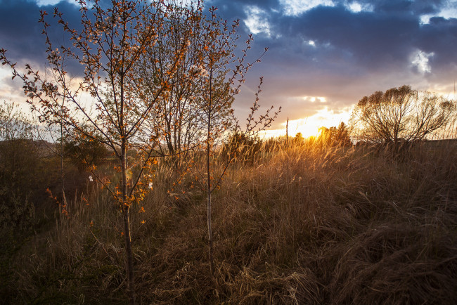 Обои картинки фото природа, восходы, закаты, рассвет