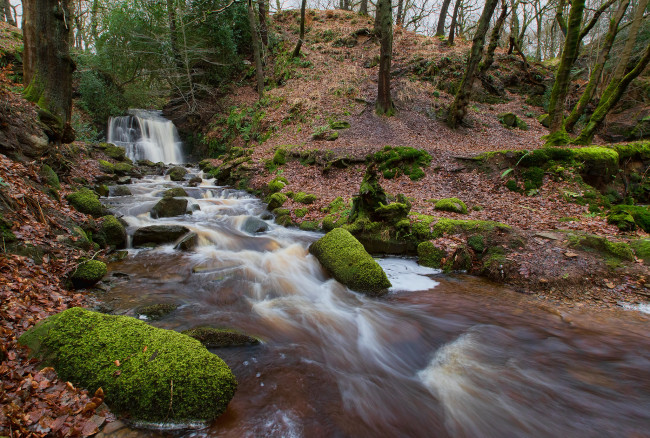 Обои картинки фото природа, водопады, река, лес, водопад