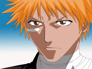Картинка аниме bleach ichigo shinigami kurosaki взгляд ичиго шинигами