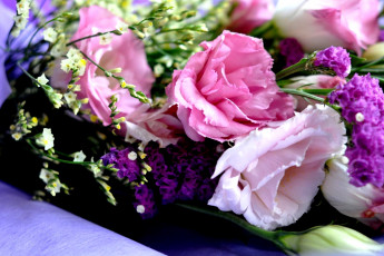 Картинка цветы разные+вместе эустома