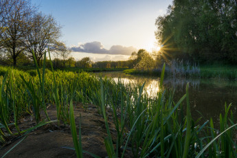 Картинка природа восходы закаты рассвет