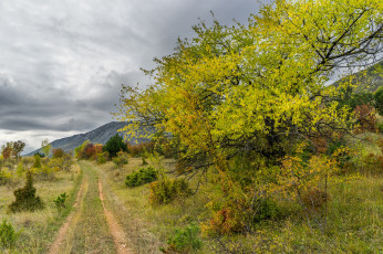 Картинка природа дороги тракт