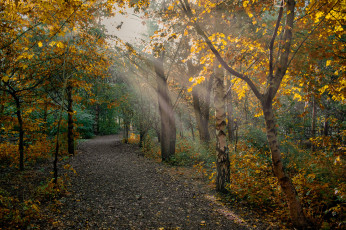 Картинка природа дороги тракт