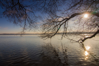 Картинка природа реки озера лес река